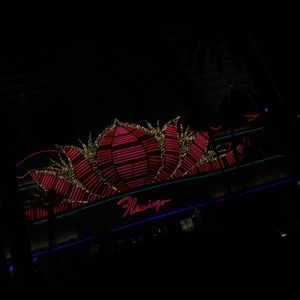 Meet your Posher, Meagan